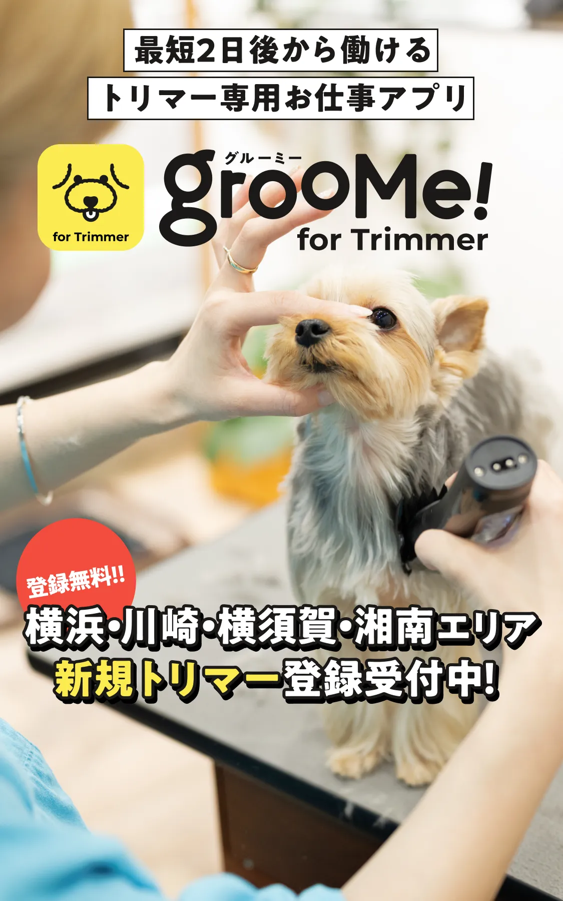 GrooMe! for Trimmer - スキルを活かして自由に働く。トリマー専用お仕事アプリ。